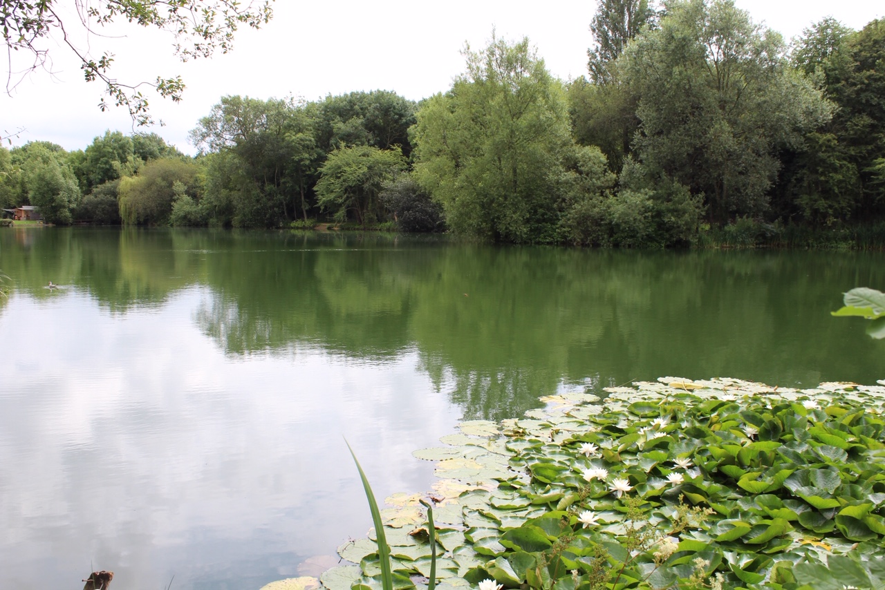 A view of Whelford Pools Fishery